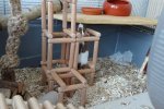 DSC02681.jpg