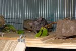 DSC02700.jpg