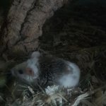 20170404_011813cut.jpg