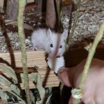 2017-04-19 06.18.28.jpg