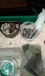 20170419_205712_resized.jpg