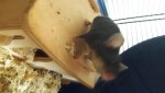 20170419_100851.jpg