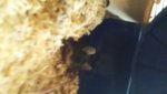 20170419_101013.jpg