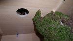 20170425_075453.jpg