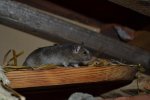 DSC_0027.jpg