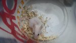20170428_172037.jpg