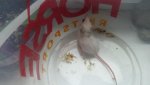 20170428_172406.jpg