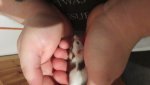 20170429_205542.jpg