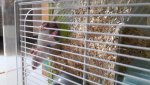 20170501_121357.jpg