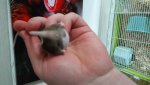 20170502_161339.jpg