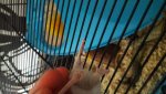 20170502_161019.jpg
