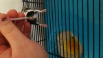 20170502_160648.jpg
