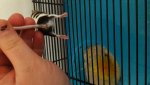20170502_160647.jpg
