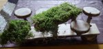 2017-05-03 08.34.59.jpg