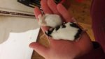 20170504_214632.jpg