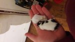 20170504_214627.jpg