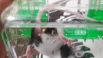 20170505_132645.jpg