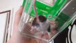 20170505_132625.jpg