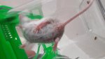 20170505_132510.jpg