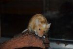 DSC_0054.jpg