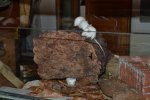 DSC_0142.jpg