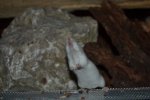DSC_0163.jpg