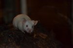 DSC_0169.jpg