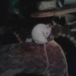 20170507_213930.jpg