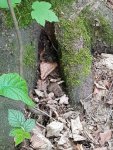 _20170507_190651.jpg _20170507_190651.jpg