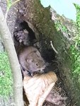 _20170507_190740.jpg _20170507_190740.jpg