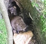 _kl_20170507_190740.jpg