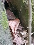 _20170507_190717.jpg