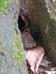 _20170507_190724.jpg _20170507_190724.jpg