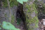 _DSC_0425.jpg