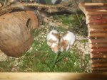 DSCN1041.jpg