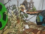 DSCN1045.jpg
