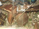 DSCN1050.jpg
