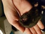 20170523_221056.jpg