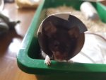 20170524_093132.jpg