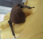 _kl_20170606_201026.jpg