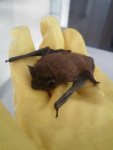 kl_kl_20170606_201000.jpg kl_kl_20170606_201000.jpg