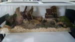 20170602_211907.jpg