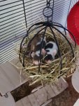 IMG-20170619-WA0031.jpg
