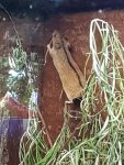 20170617_172915.jpg
