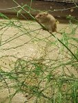 20170617_181325.jpg