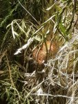 20170617_181347.jpg