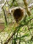 20170617_181636.jpg