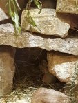 20170618_155620.jpg