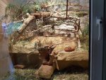 20170618_160721.jpg