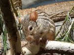 20170618_160821.jpg